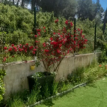 Piscine Jacuzzi 4 Montpellier 빌라